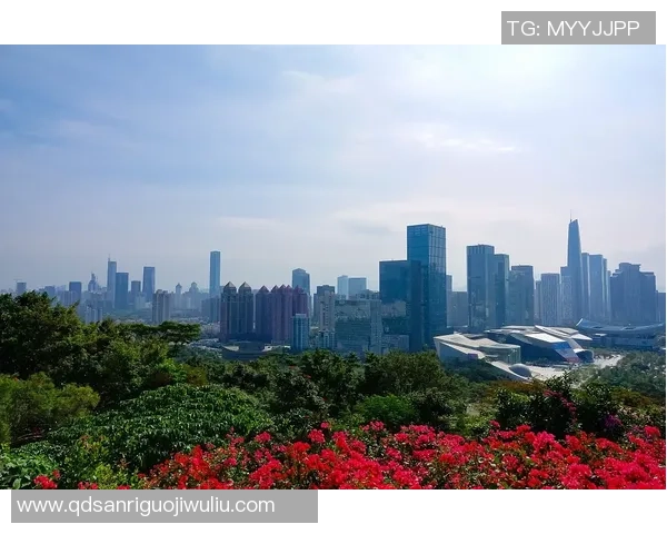 深圳攀岩队如何在热议中实现速度变革与技术突破