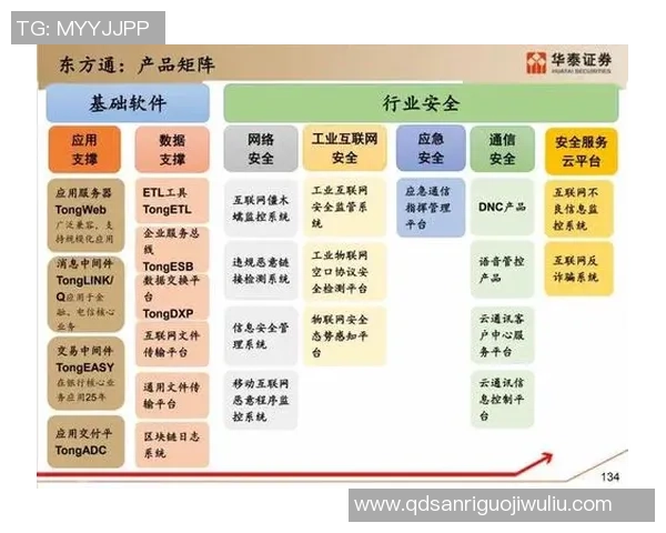 重庆篮球队的控制革新探索与发展之路全景解析