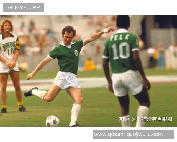 回顾2002年法国足球明星的辉煌成就与传奇瞬间